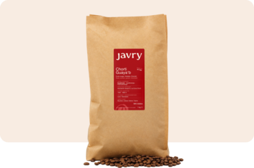 Chorti Guaya’b