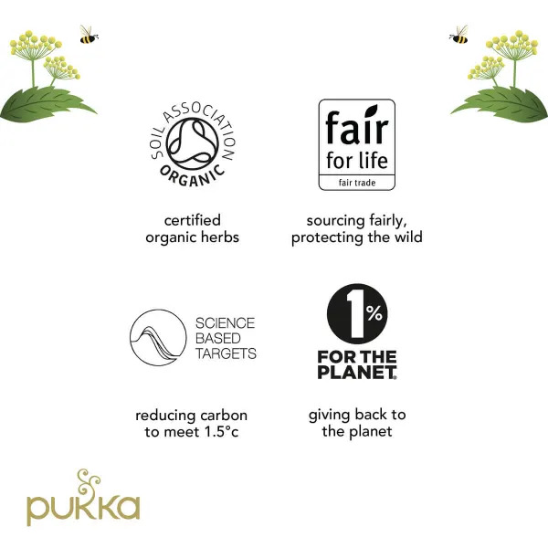 Infusie Drie Munt BIO - Pukka - 20 zakjes